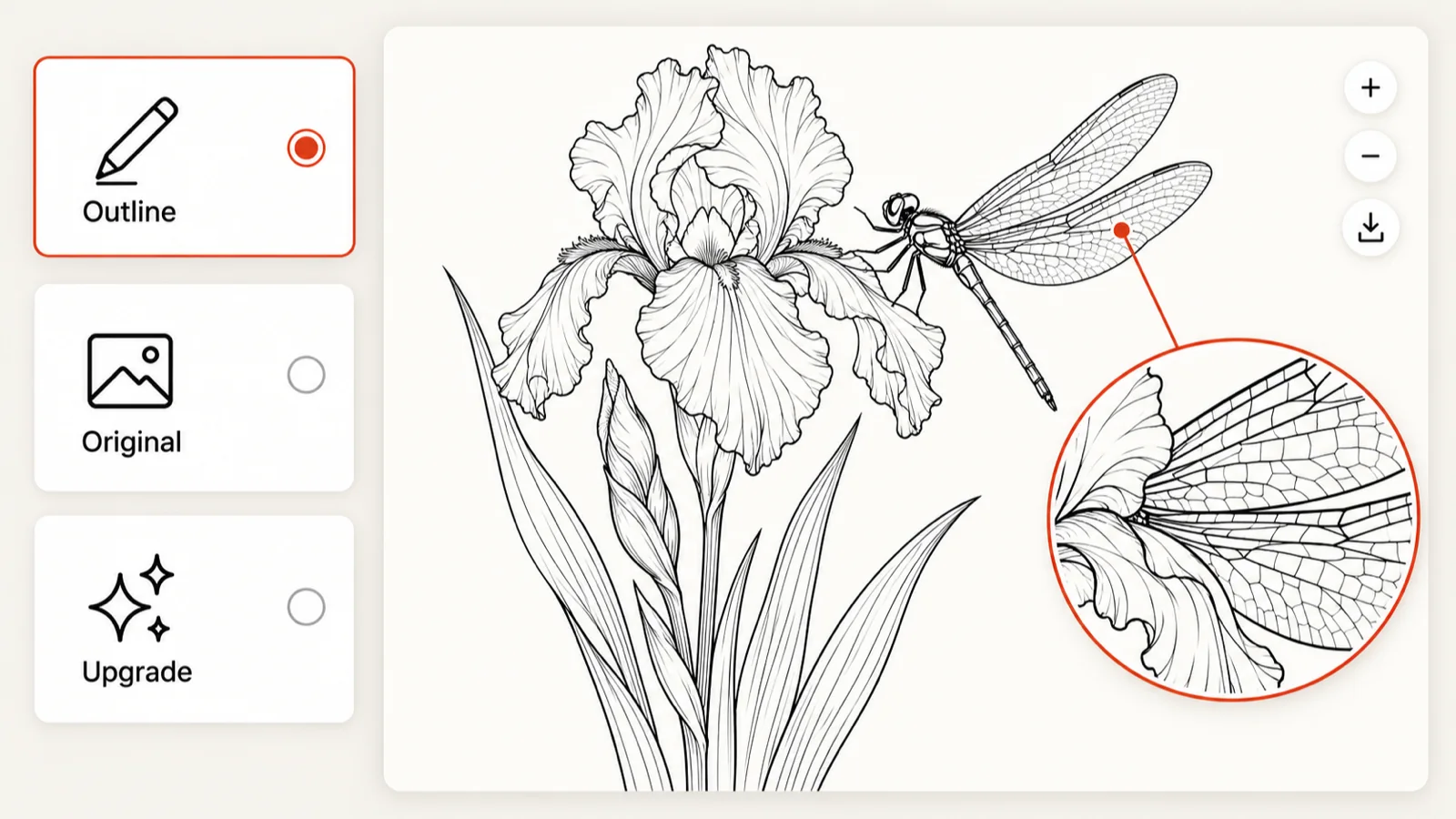 Mode selector with Outline, Original and Upgrade options beside a large linework preview and a zoom loupe on fine details